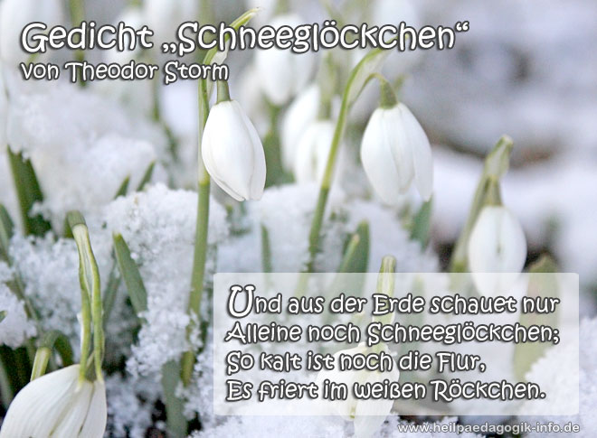 Frühlingsgedicht Schneeglöckchen Frühlingsgedicht Frühlingsbild