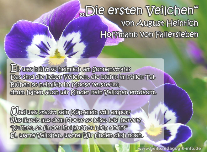 Frühlingsgedicht Die ersten Veilchen Frühlingsgedicht Frühlingsbild