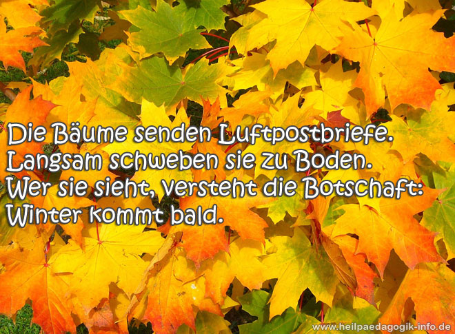 Gedicht Baum Lustig