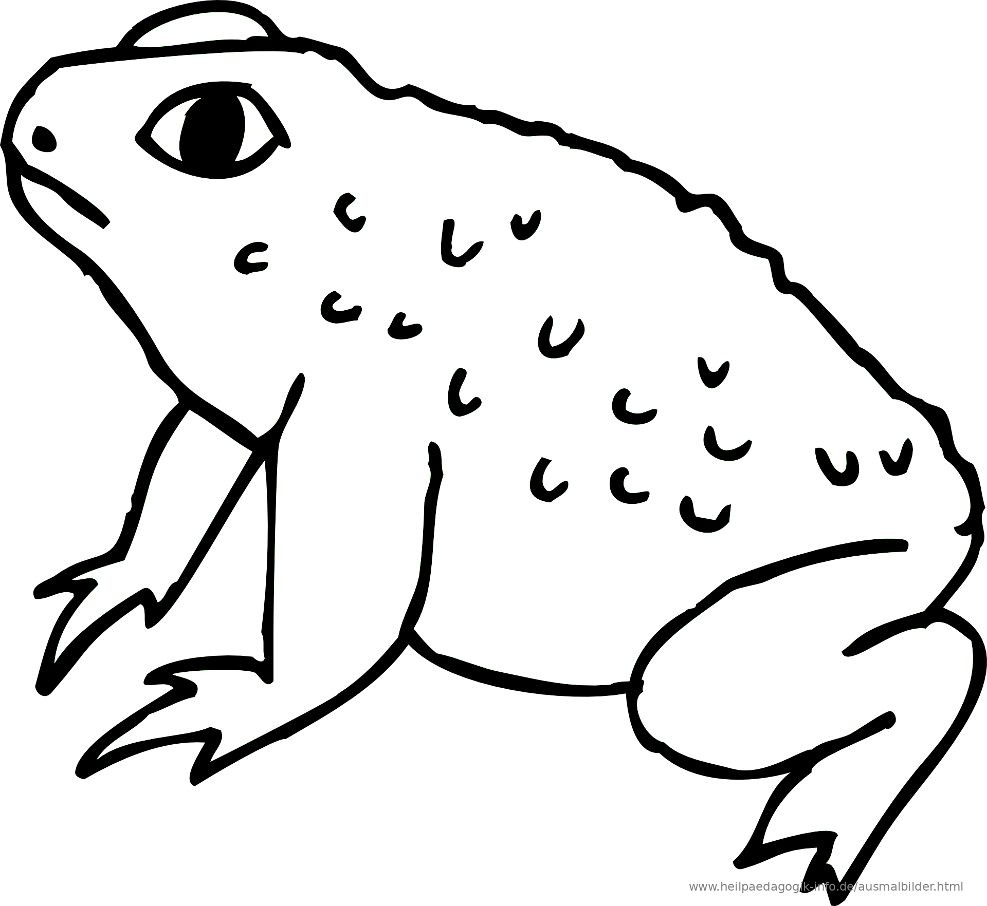 ausmalbild malvorlage  Frosch  1237  ausmalbilder_tiere_3__ausmalbilder_froesche_58__